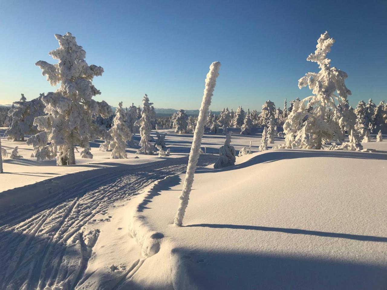 Tyrifjord Hotell Vikersund Exterior foto