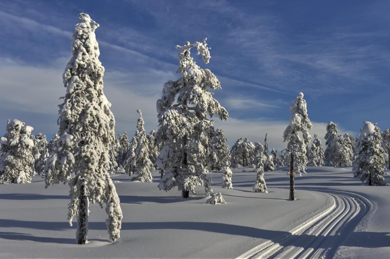 Tyrifjord Hotell Vikersund Exterior foto